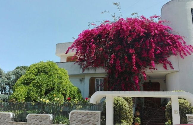 Villa Mary - Apartments - Photo 26