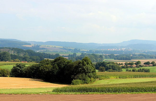 Wohnung im Teutoburger Wald - Foto 39