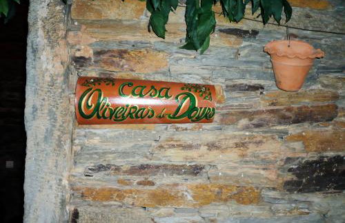 Casa Oliveiras do Douro - Foto 39