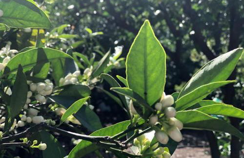 Casa Camino Tamadaba - Foto 55