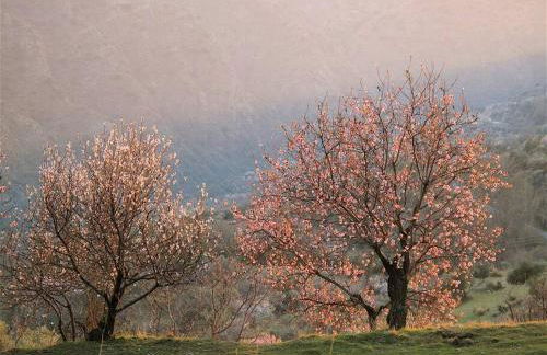 Casa Carmela, rural house with spectacular views, in an exquisite area - Foto 31