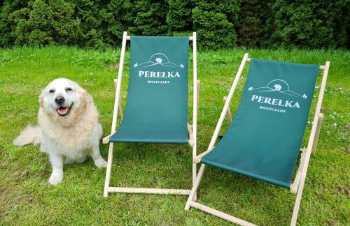 Perełka Bieszczady Domki - Photo 24