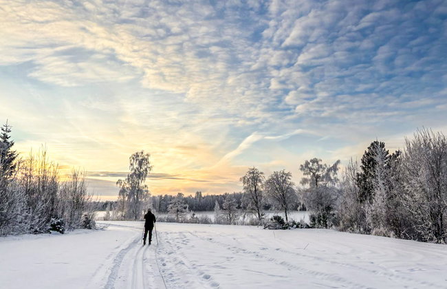 Pikku-puntila - Foto 7