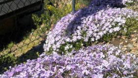 Apartament Hakerówka - Photo 3