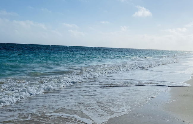 The Lookout - Coral Beach - Foto 16