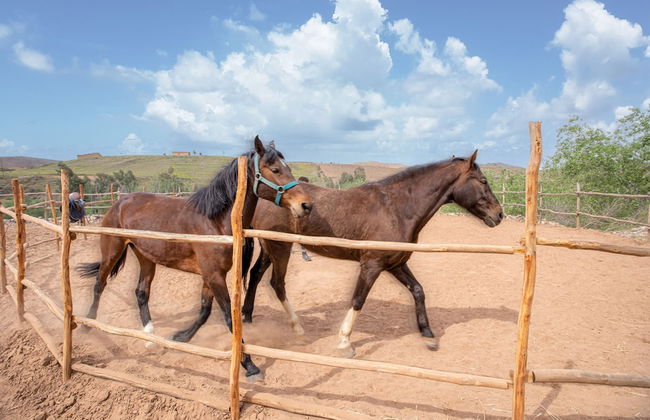 La Fattoria Ecolodge - Foto 48