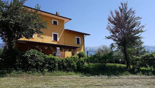 Viale dei Ciliegi - Foto 3