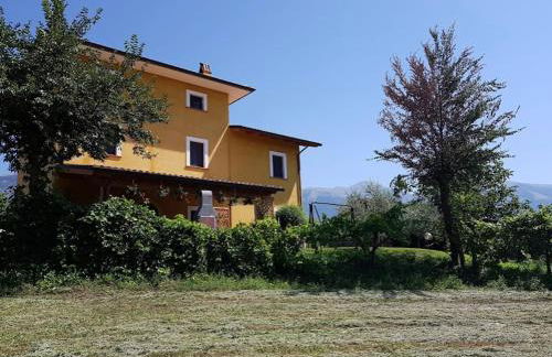 Viale dei Ciliegi - Foto 3