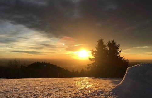 Gîte Marchand - Foto 17