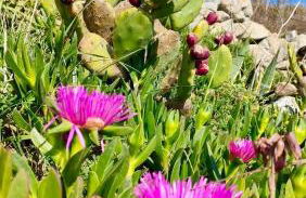 Casa Vacanze Aurora - Foto 35