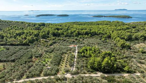 Holiday house Ivan with heated pool - Foto 3