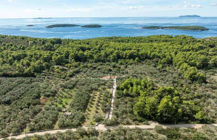 Holiday house Ivan with heated pool - Foto 3