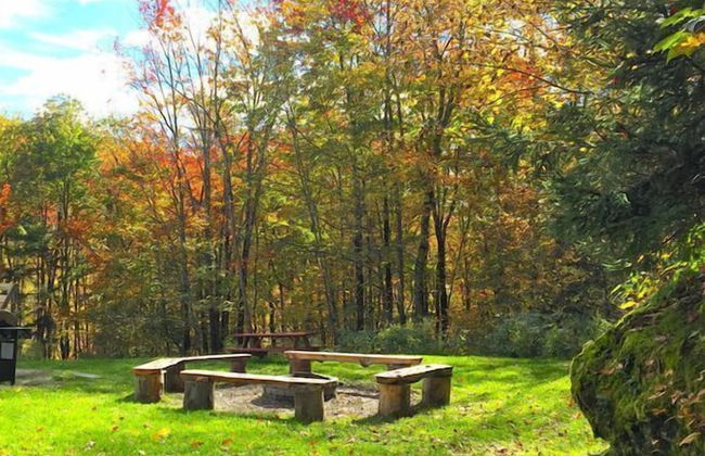 Secluded 6 Acre Property near Mountain Road - Foto 29