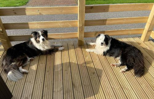 Corrie Fee Lodge - Foto 7