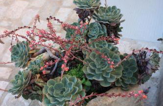 CASADORATA buen retiro vista mare - Foto 20