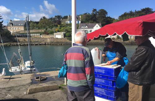 Studio de Charme "Le Coquillage " Jacuzzi privatif - Foto 48