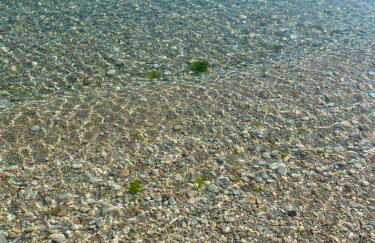 Appartamento al mare - Marotta - Foto 14