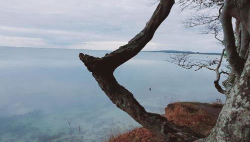 Ferienwohnung Daliah - Foto 5