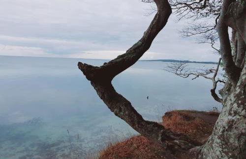 Ferienwohnung Daliah - Foto 5