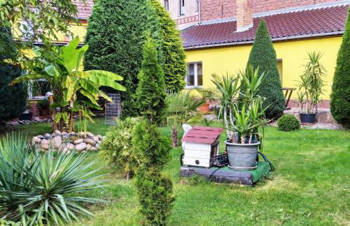 Apartment Gemütliche Wohnung mit Terrasse by Interhome - Foto 1
