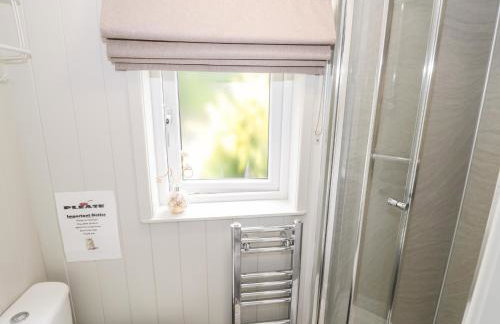 Hydrangea - Photo 13