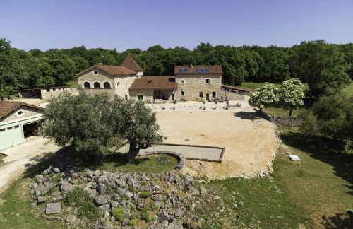 Mas des Sylves - Piscine intérieure chauffée - Parc de 100 hectares - Foto 11