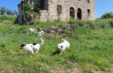 Casa Oliva - Foto 6