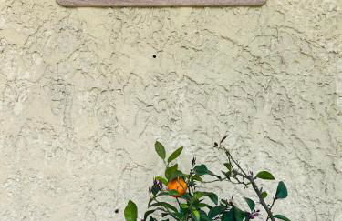 Gîte La Fougère - Foto 13