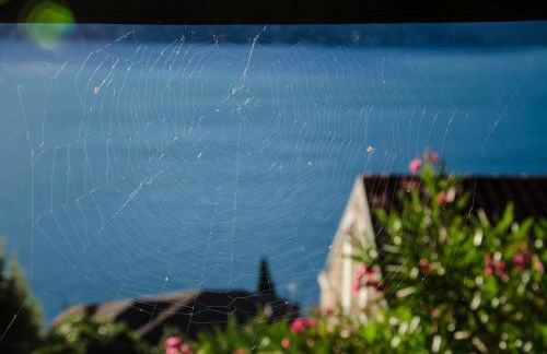 AnMa Cottages Sole Lago - Foto 49