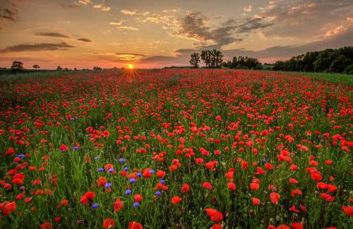 GADEN Apartment - Hotel - Photo 25