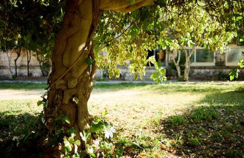 Agriturismo Teatro del grano - Foto 20