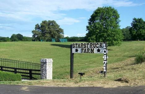 Rustic Stall B&B with Country Breakfast & Bonfires near Old Hickory Lake – Gallatin, Tennessee - Foto 9