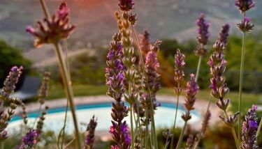 Refugium VERITAS - entire Villa with Pool - Foto 2