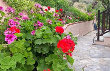 Violetta Studios & Apartments - Foto 50