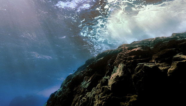 Giro in barca fra le lingue di lava di Costa Adeje + Snorkeling