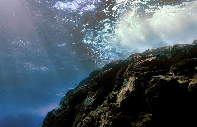 Adeje Coast Lava Tongue Snorkelling - Photo 5