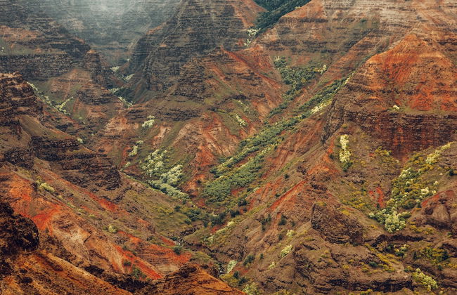 Banyan Harbor Resort - Foto 137