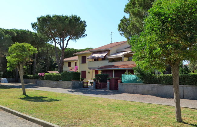 Pineforest - Foto 24