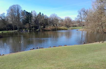 Ferienwohnung Mia - Foto 35