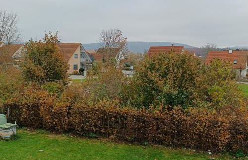 Domus Limes, RuheOase am Schloss - Foto 24