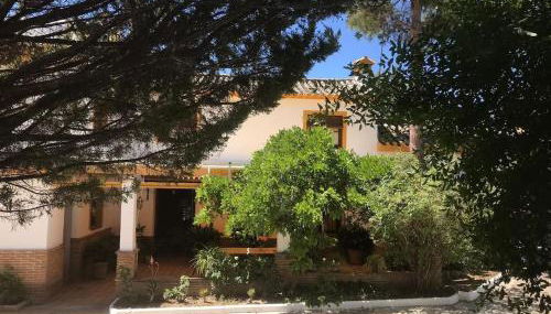 Paredejas del Rey - Foto 4