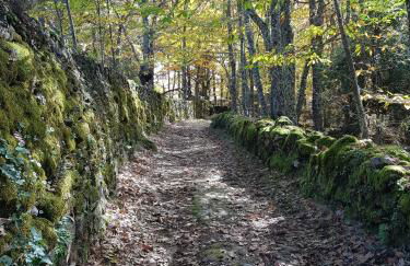 Casa Rural Rincón - Foto 46