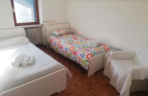 I tulipani - Foto 32