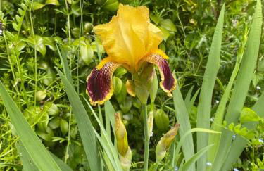 Moulin Grand, entire accommodation, 2br park river - Foto 43