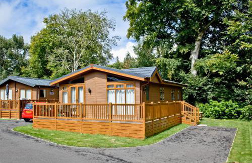 Forest Glade Lodge - Foto 1