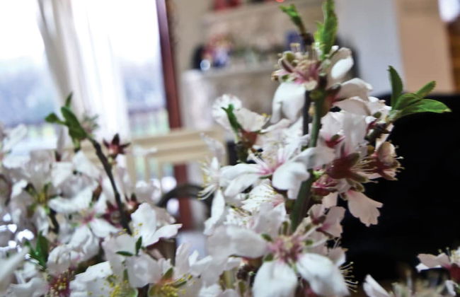 Lania Royal Oak House by TrulyCyprus - Foto 11