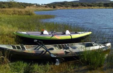 Almojanda 3 olive tree - Foto 69