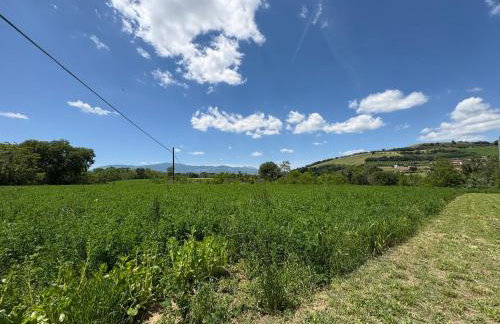 Casa in campagna a Rosciano - Foto 58