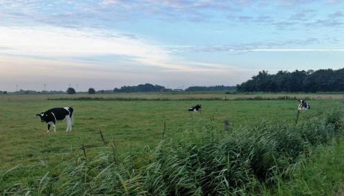 Ferienwohnung Diek - Foto 3