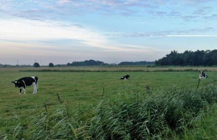 Ferienwohnung Diek - Foto 3